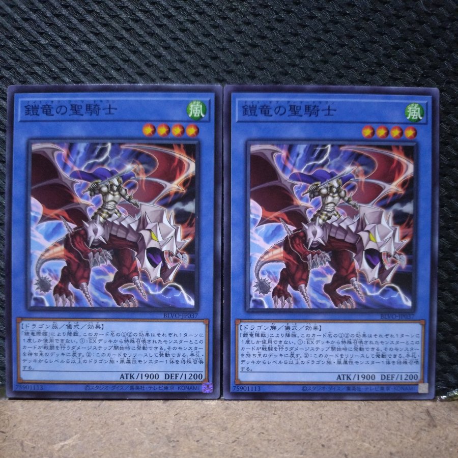 【ぽぽたん】遊戯王  582  鎧竜の聖騎士 ノーマル   2枚 2枚