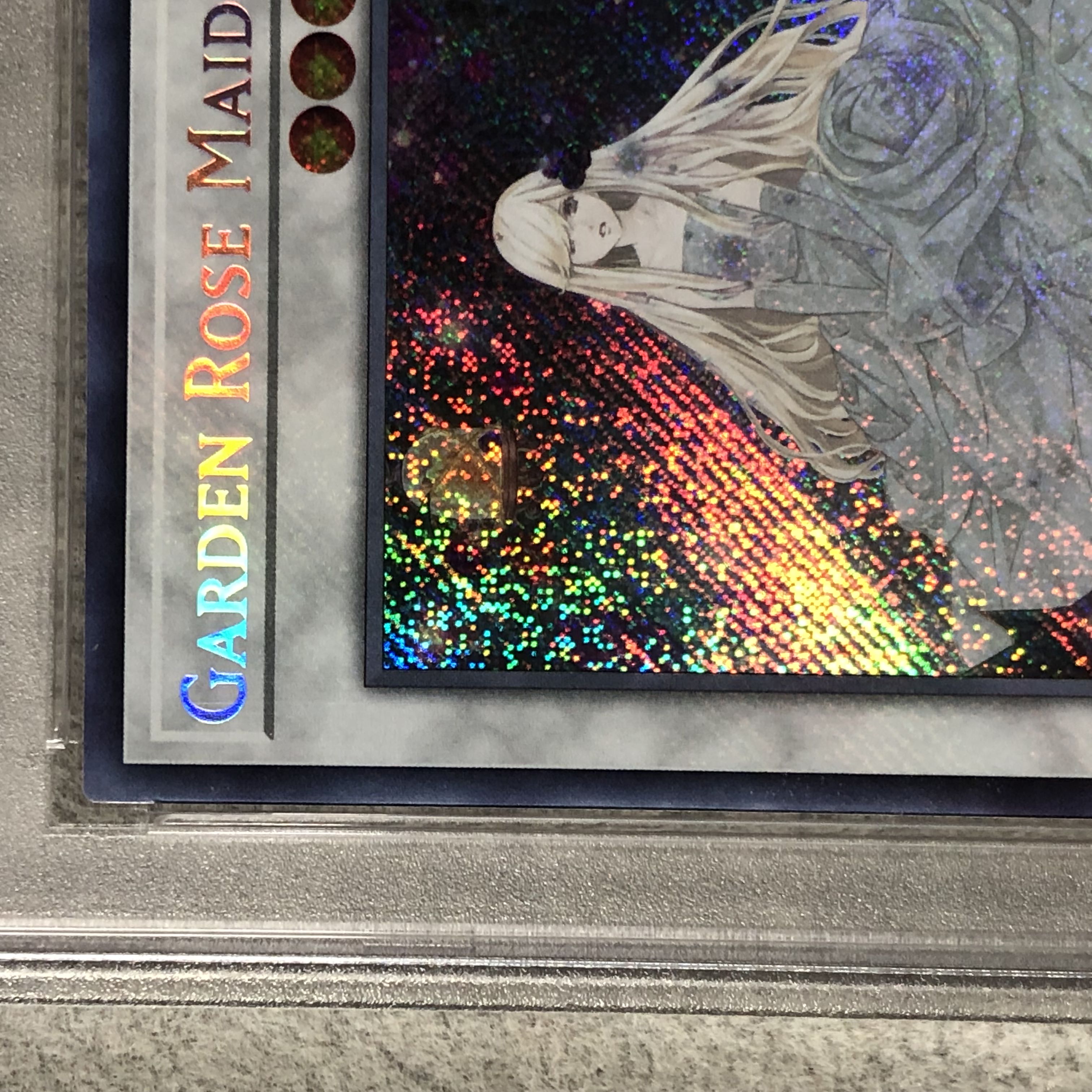 【PSA10】ガーデン・ローズ・メイデン (英語版/1st) [シークレット] {LDS2-EN113} 1枚