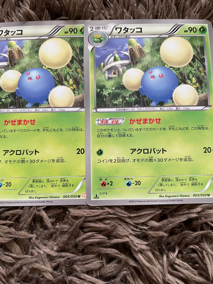 ワタッコ　エクストラ 2枚