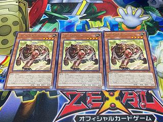 Y-4120 Slave Bear, rare SUDA-JP018 3枚