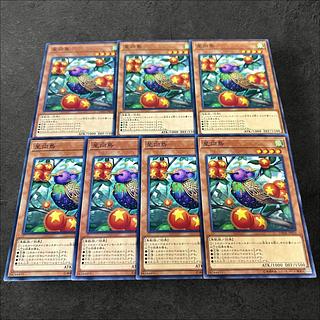 a812【遊戯王】星向鳥　7枚セット
