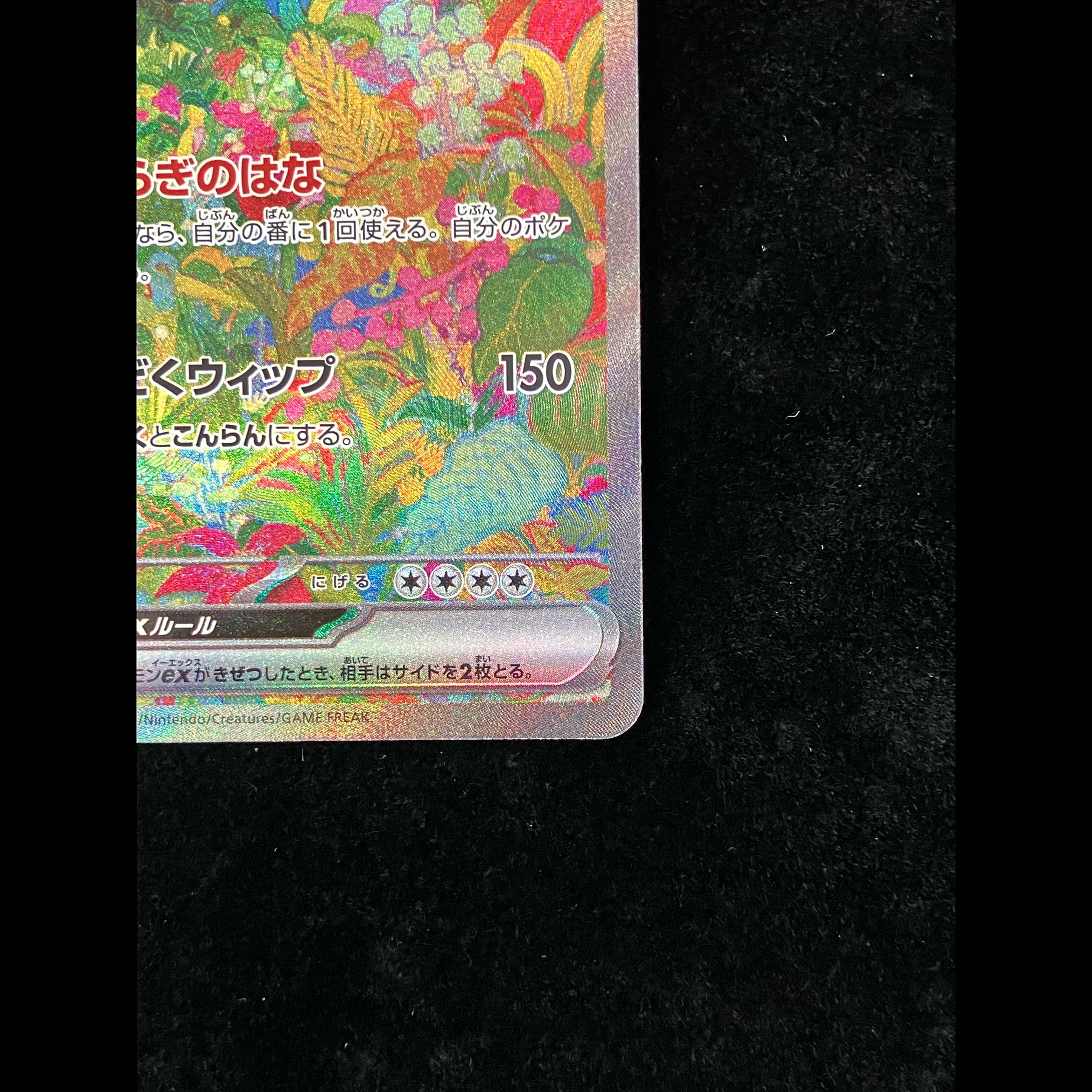 Venusaurex SAR 200/165 1枚