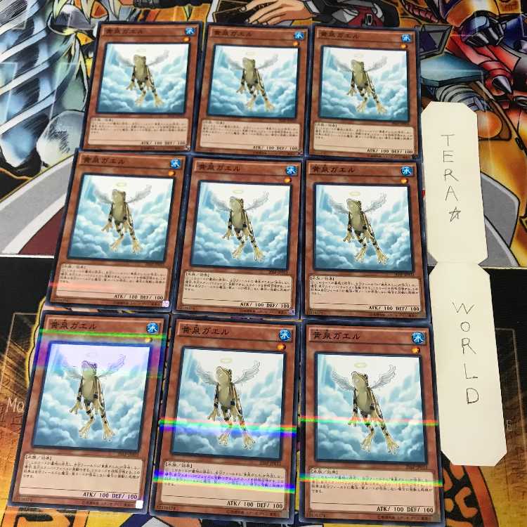 Treeborn Frog 1 Normal Parallel Set of 9 Tera.