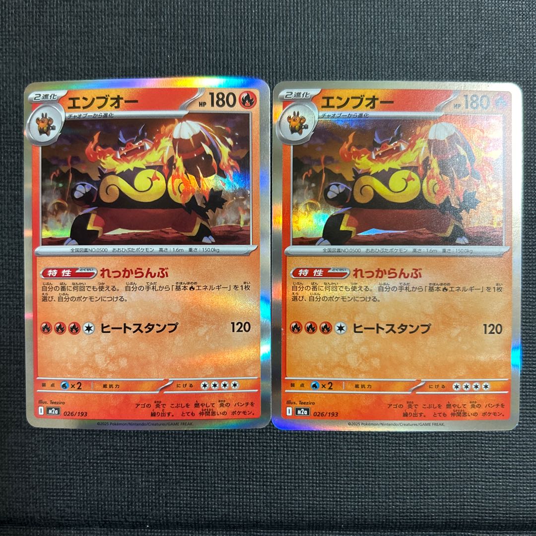 Emboar(R spec) 026/193 2枚