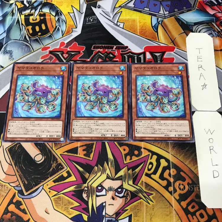 ヤマタコオロチ DIFO 1 ノーマル 効果 3枚セット てら 3枚