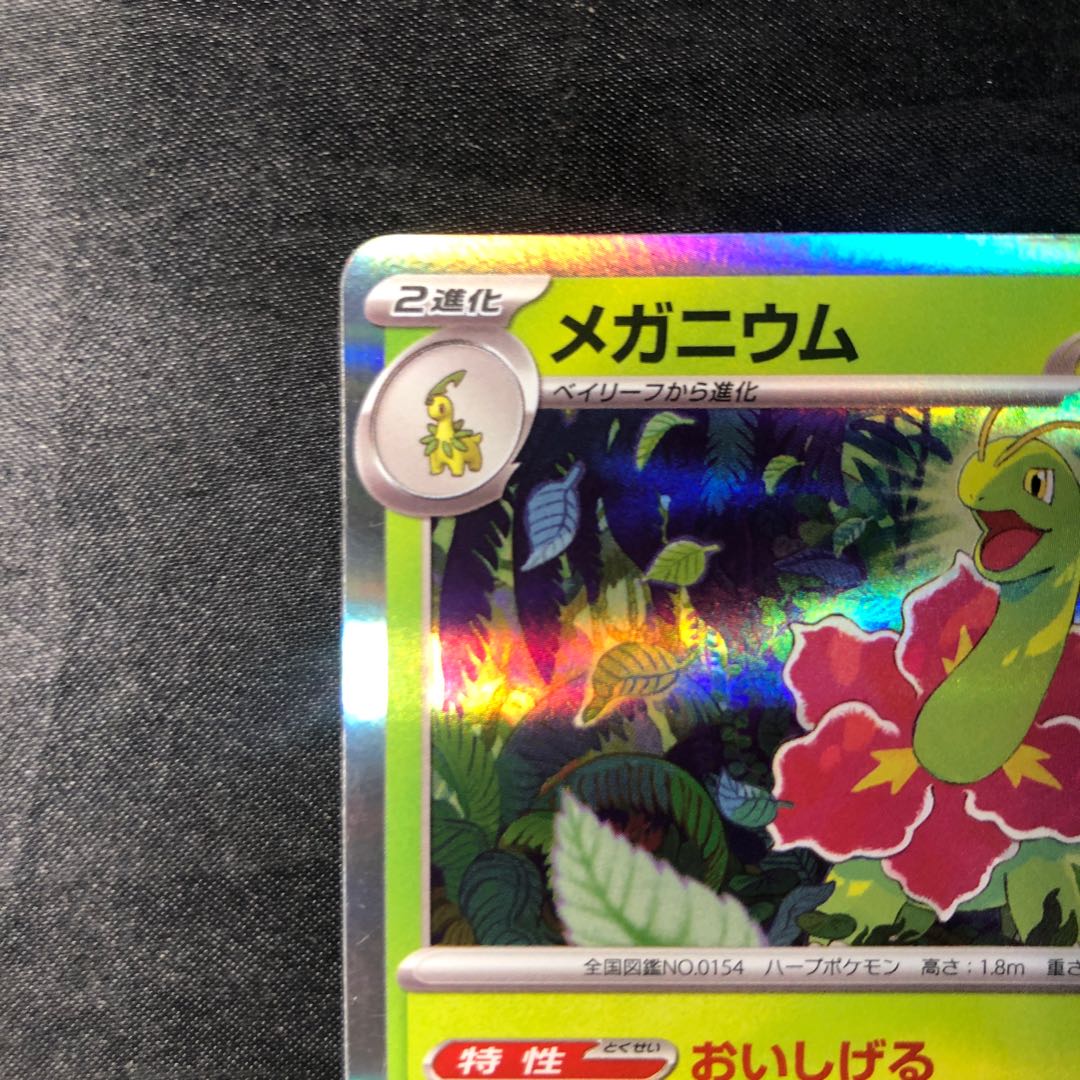 Meganium R 005/063 1枚