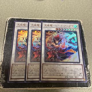 希少 新品未開封 天威龍ムーラ・アーダラ WCQ2025プレイマット