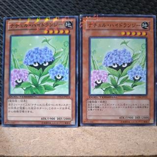 【ぽぽたん】遊戯王  2245  ナチュル・ハイドランジー   ノーマル  ２枚 2枚