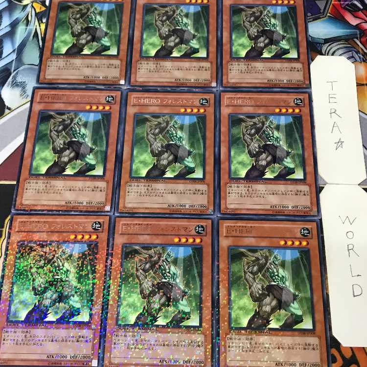 Elemental HERO Woodsman DT08 1 Duel Terminal, Effect, Set of 9, Tera. 9枚