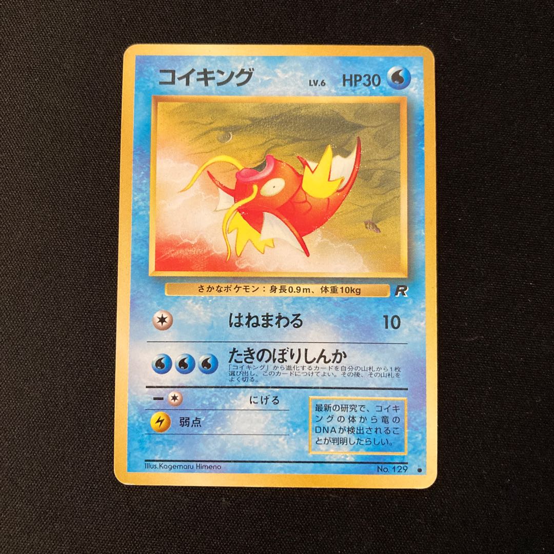 j235 Magikarp old back side Pokémon Treasure