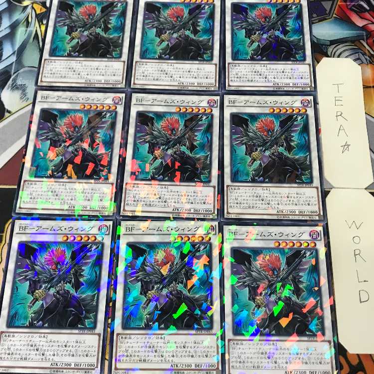 1 Normal Parallel Shin, set of 9 Tera. 9枚