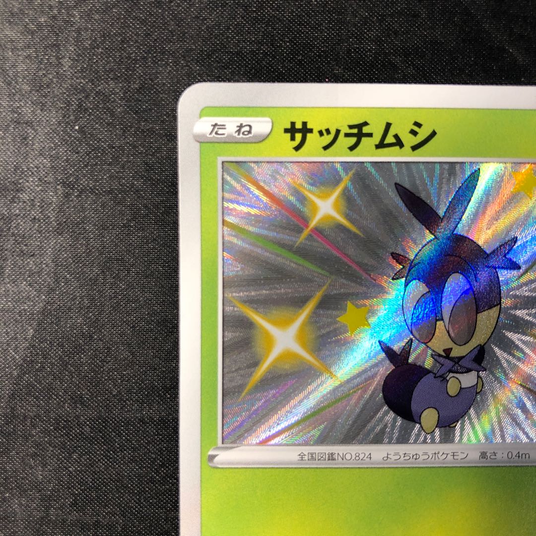 サッチムシ S 206/190 1枚