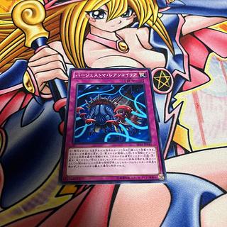 バージェストマ・レアンコイリア ノーマル JP040