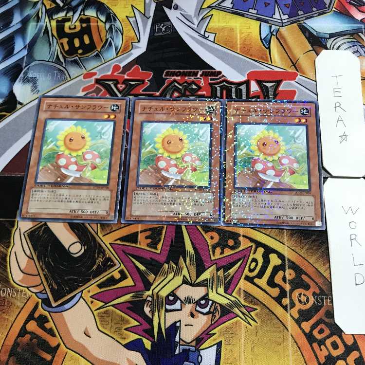 Naturia Sunflower 1 Dueling Terminals, set of 3, Tera.