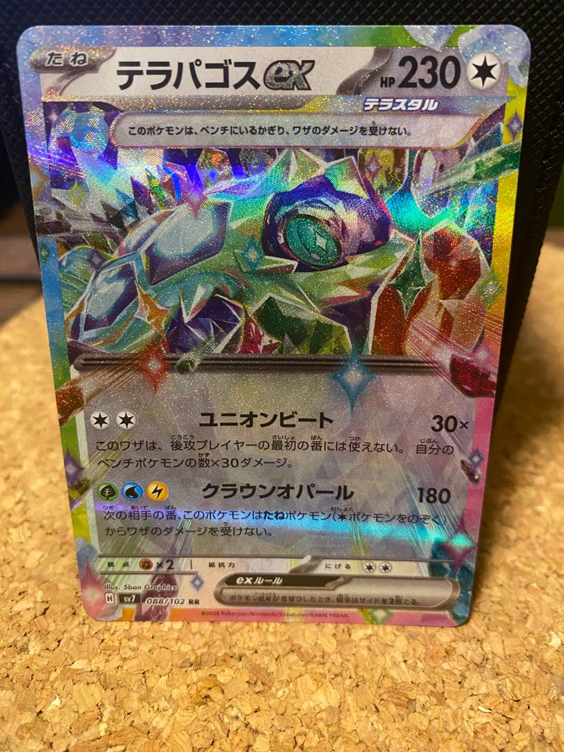 Terrapagos ex RR 088/102 1枚