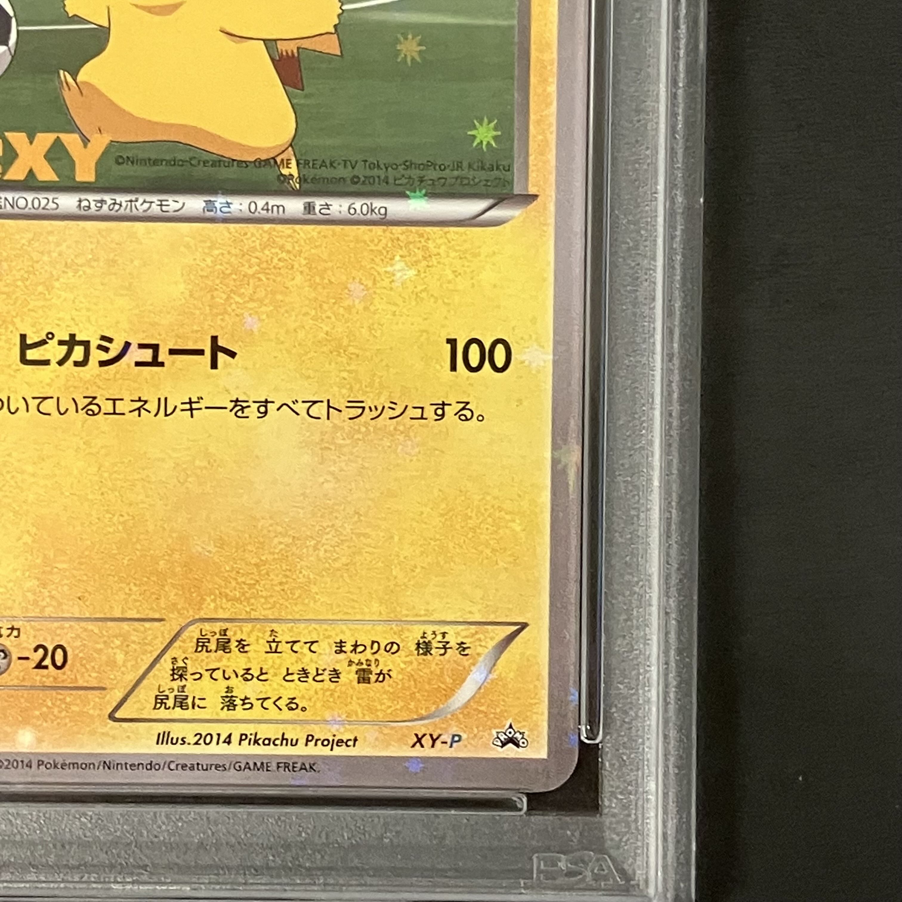 【PSA10】ピッチのピカチュウ PROMO XY-P