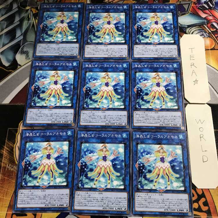 Marincess Coral Anemone 1 Normal, set of 9 Tera.