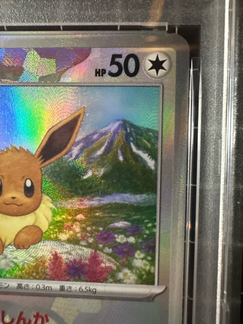 PSA10] Eevee (Master Ball Pattern/Mirror Spec.) 125/187 1枚