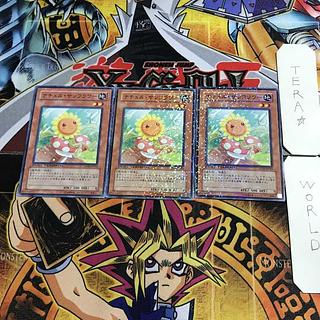 ナチュル・サンフラワー 9 デュエルターミナル 3枚セット てら