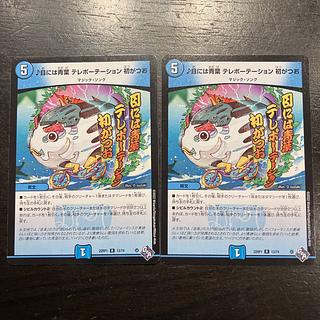 目には青葉 テレポーテーション 初がつお R 13/74 2枚