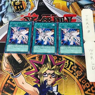 Le Bianca up! EE3 1 Normal, set of 3 Tera.