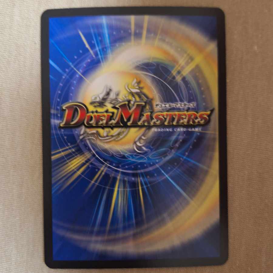 とわりゅー様専用 とわりゅー様専用 1枚 氷柱と炎弧の決断 VR 3/74