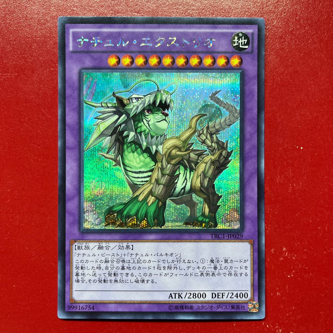 Apg ナチュル・エクストリオ シークレットレア JP029 1枚