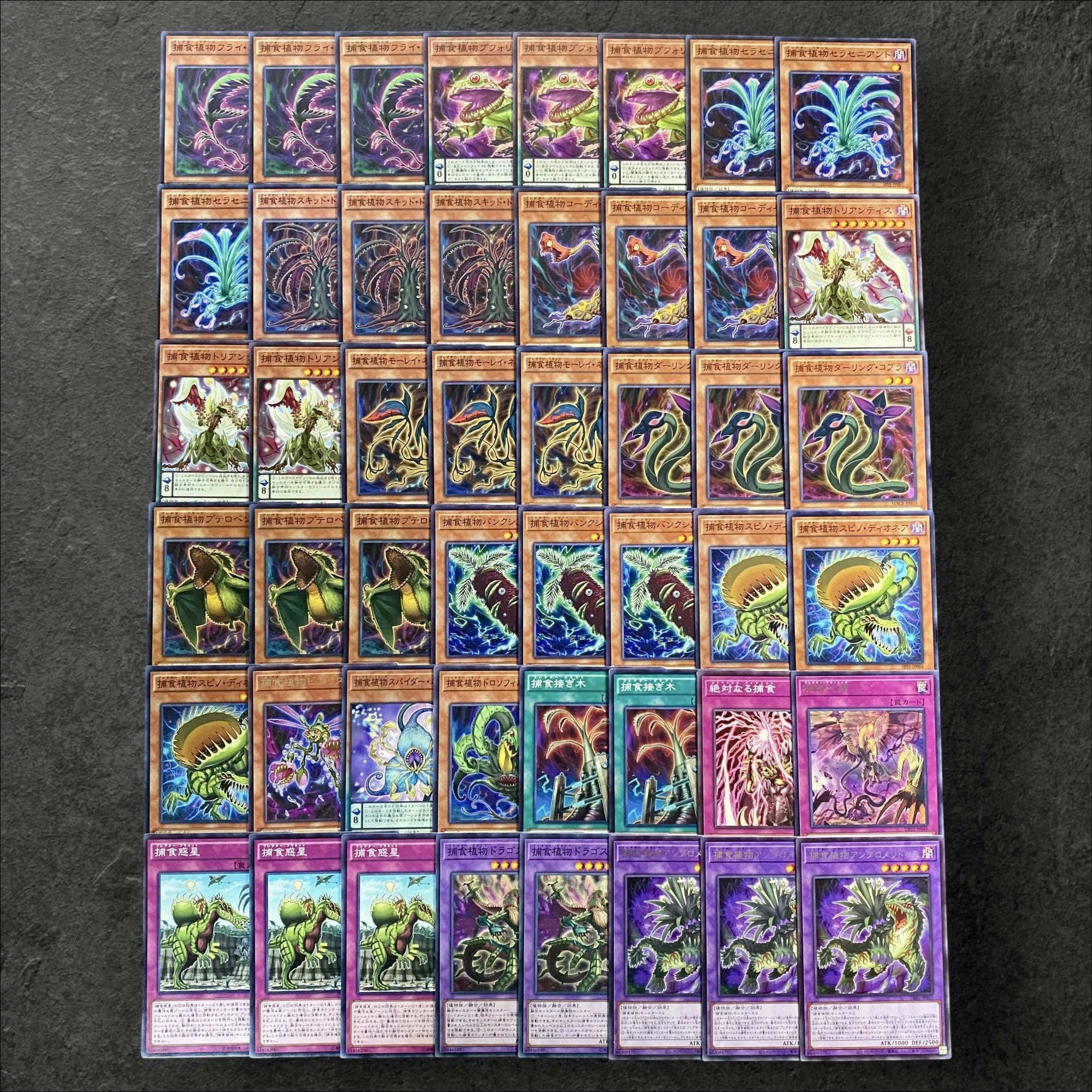 a397【遊戯王】捕食植物-プレデタープランツ- デッキパーツ　48枚セット