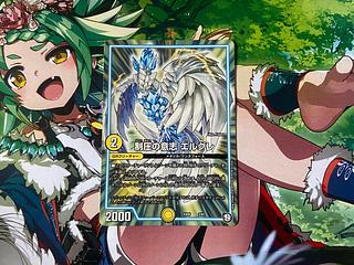 D-8 Will of conquest Elgre 3/87 1枚