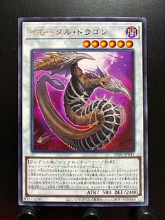 【楽々堂】遊戯王 イモータル・ドラゴン レア