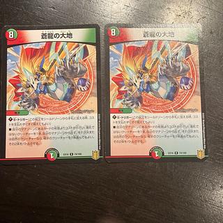 蒼龍の大地 R 74/100 2枚