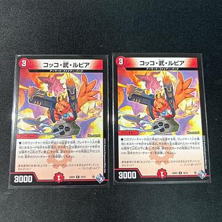 Cocco Bu Lupia R 19/74