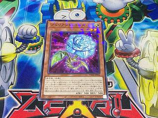 ブリリアント・ローズ