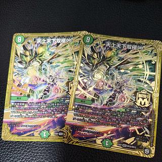 TENJO TENKA BIPOLAR ∞ MSS M10/M12 2枚