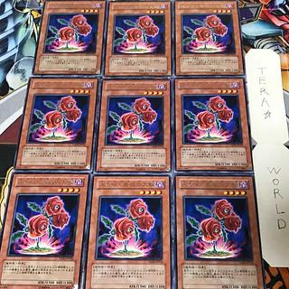 返り咲く薔薇の大輪 TSHD 1 レア 9枚セット てら