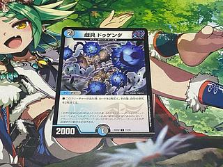 D-291 戯具 ドゥゲンダ C 71/75 1枚