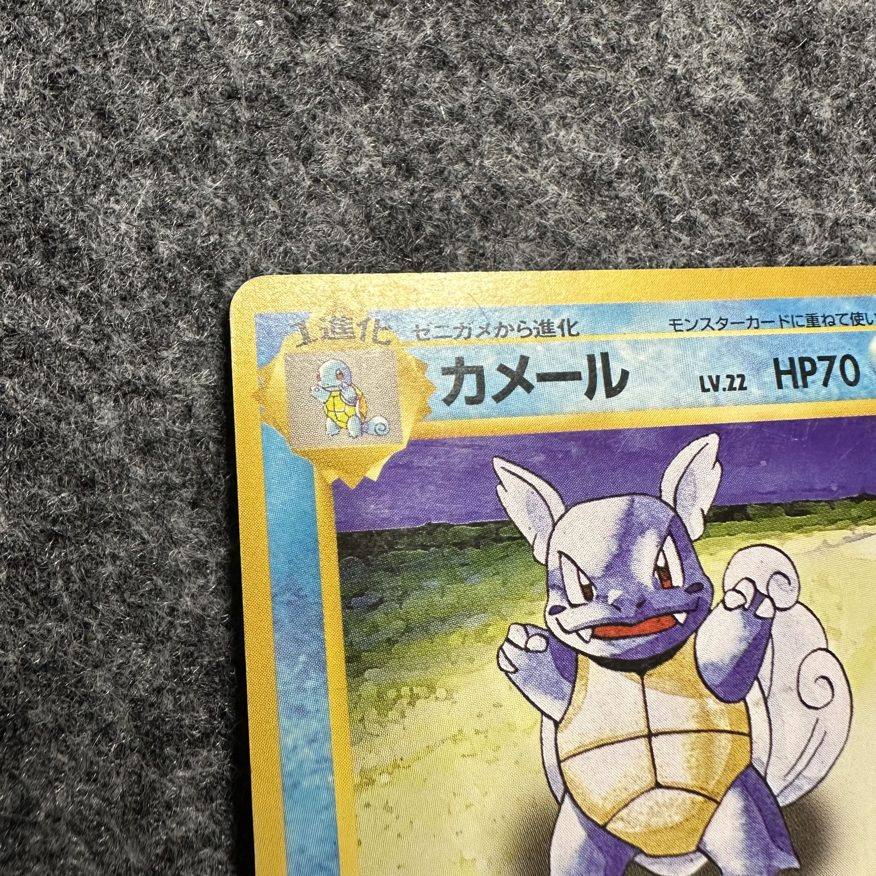 カメール　旧裏　第一弾拡張パック 1枚