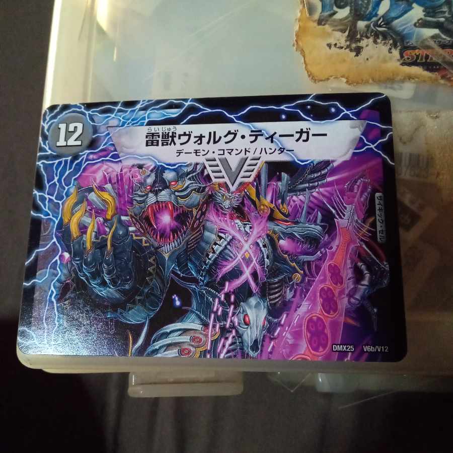 Set Discount Volg Zapdos｜Lightning Beast Volg Tiger (Top) VIC V6a/V12｜V6b/V12