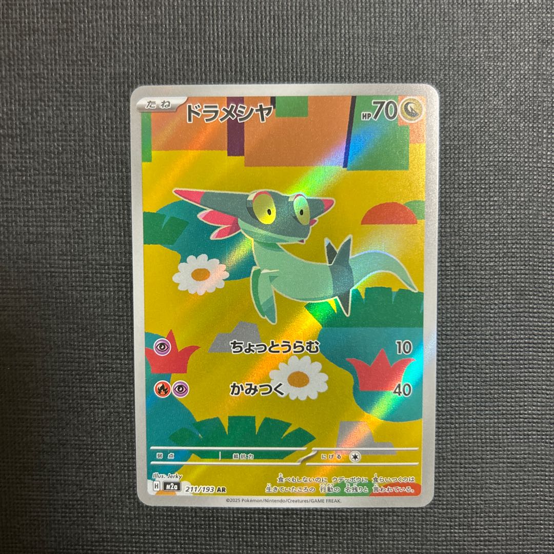 ドラメシヤ AR 211/193 1枚