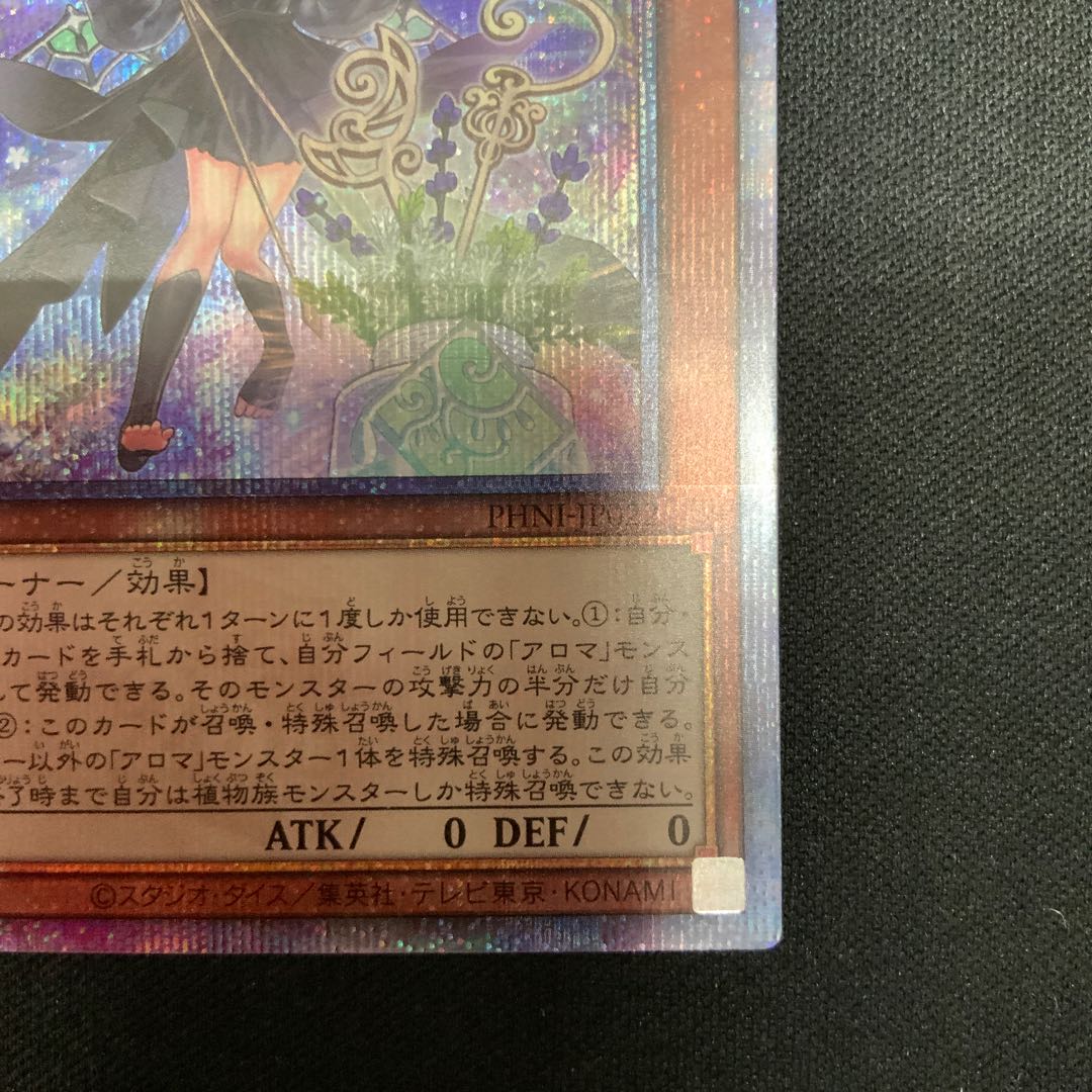 Alomari Squirrel-Rosalina QCSE, 25th Sikh PHNI-JP022