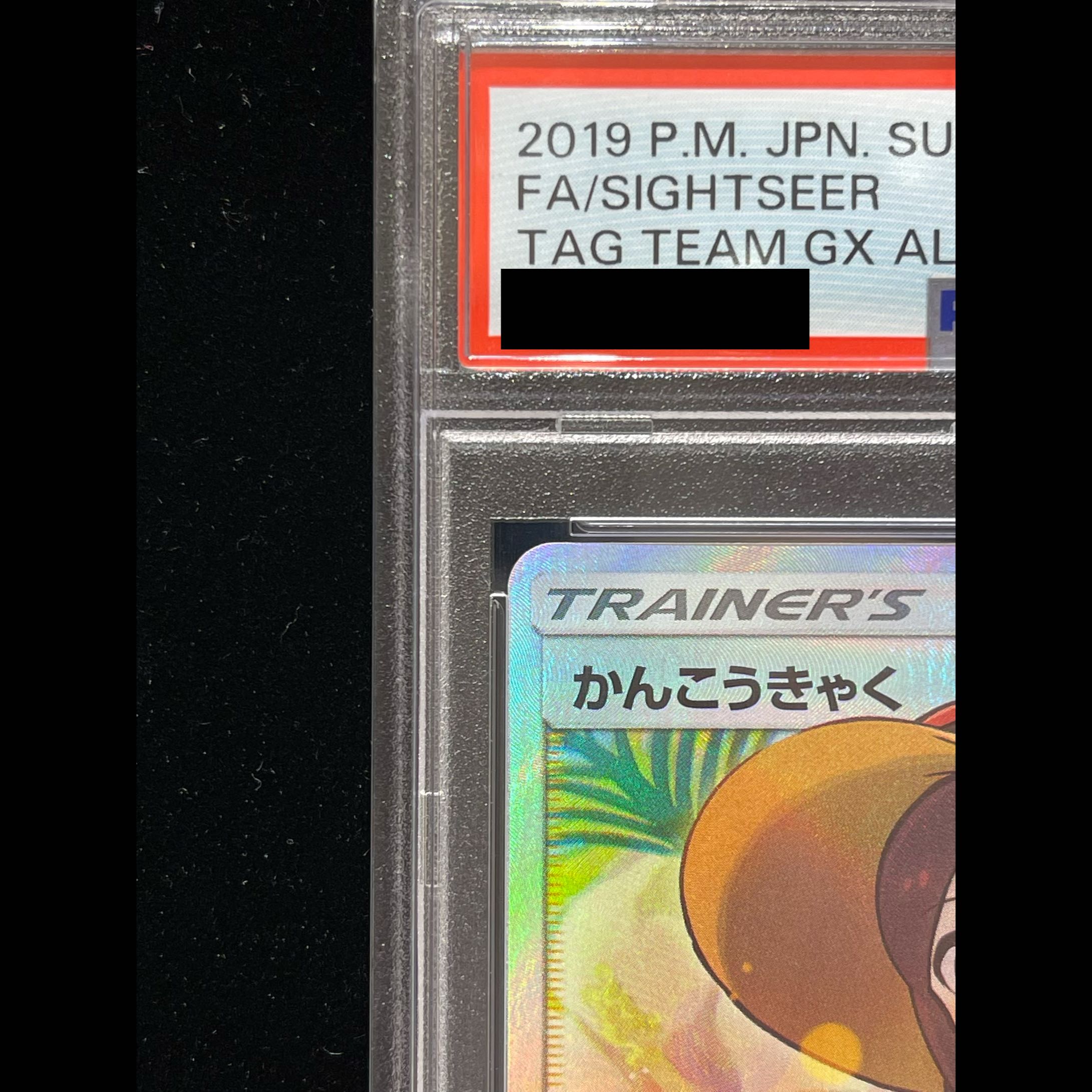 [PSA10] Sightseer SR 192/173 1枚