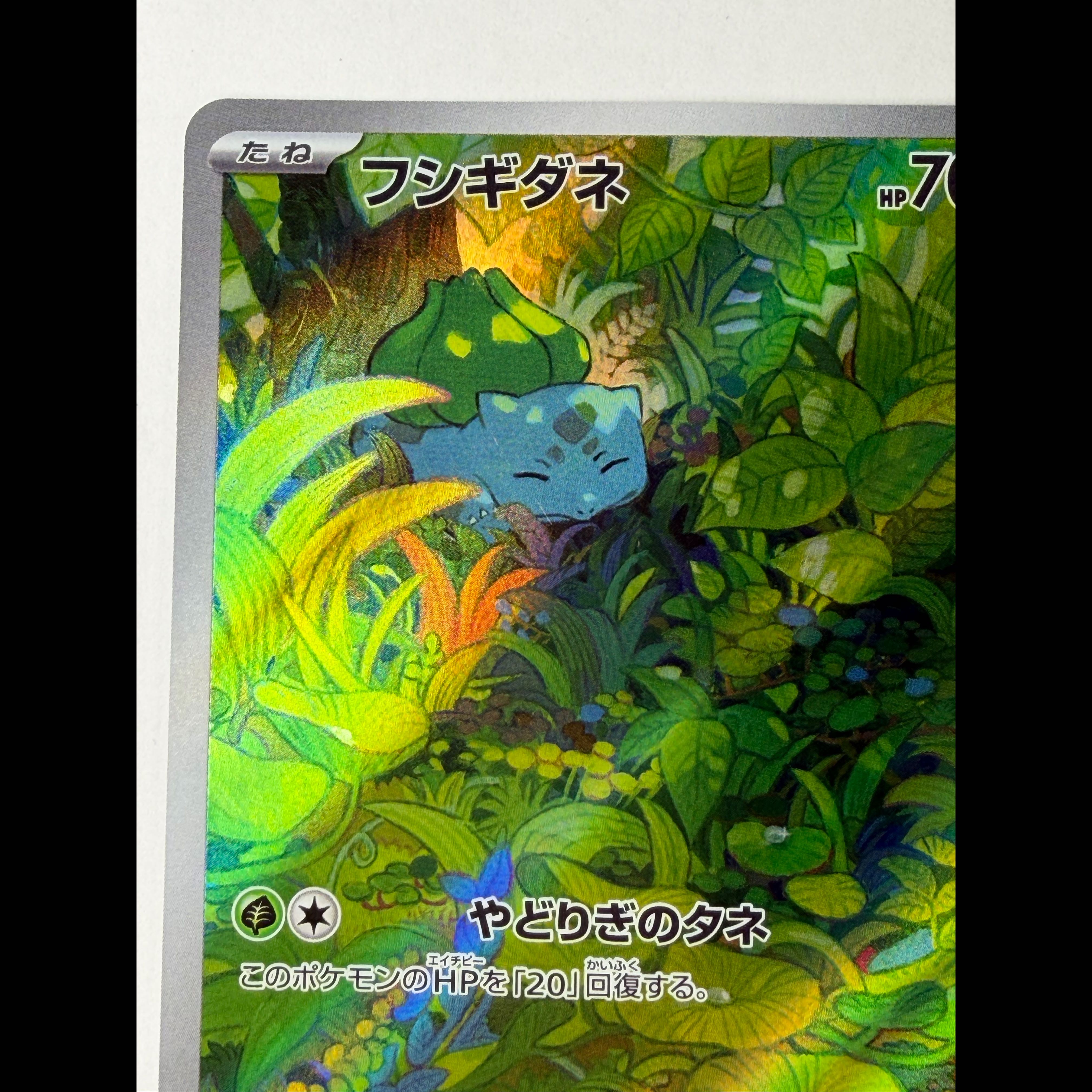 Bulbasaur AR 166/165 1枚