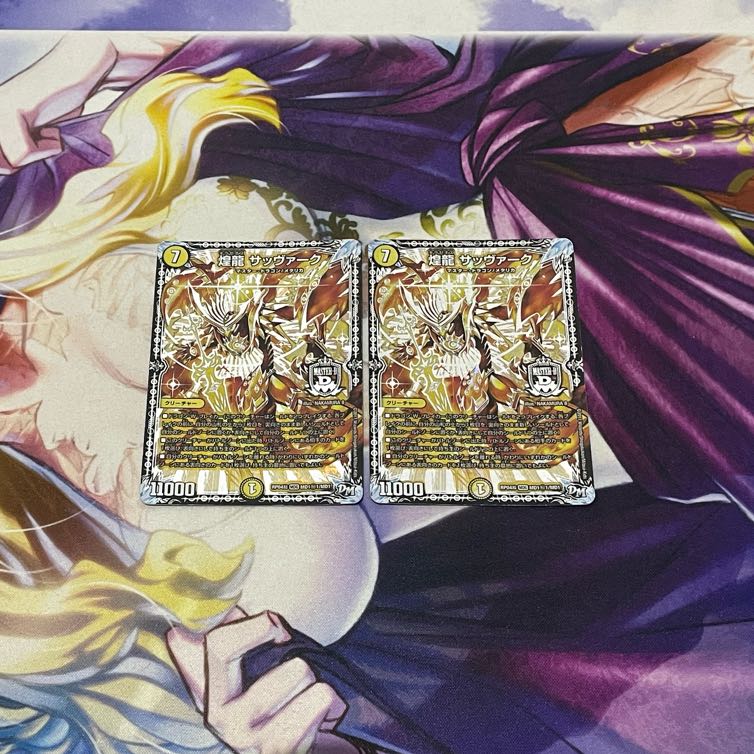 煌龍 サッヴァーク SE MD1(秘)1/MD1