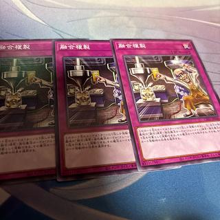 Polymerization Replication Normal