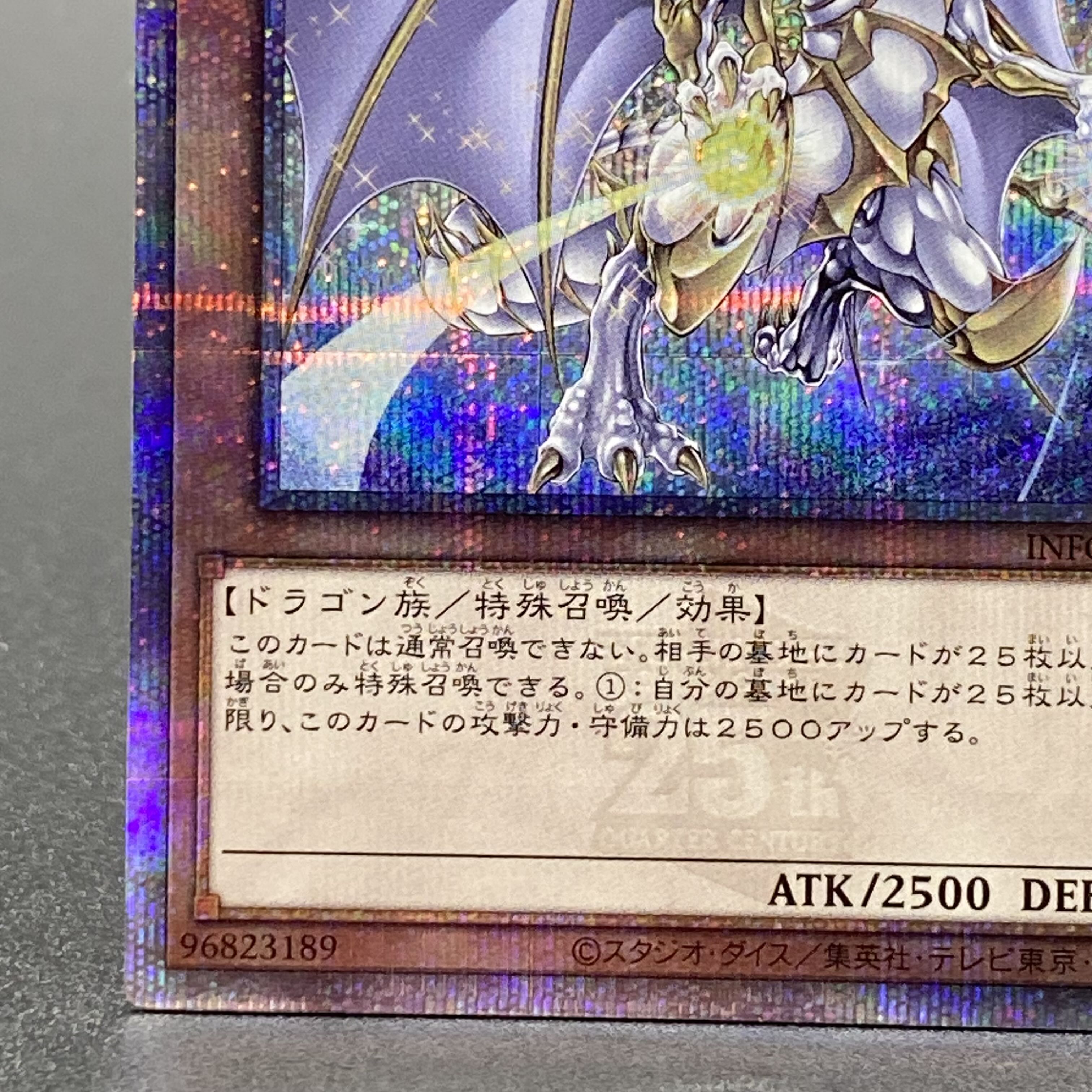 Dragon of Pride and Soul QCSE, 25th Sikh INFO-JP000