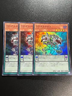 遊戯王スタジオ 3枚 DDオルトロス スーパーレア QCCP-JP075