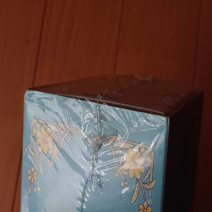 スペシャルBOX リーリエ＆コスモッグ 未開封BOX  1BOX