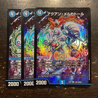 アクアン・メルカトール SR 2/80 [2002]