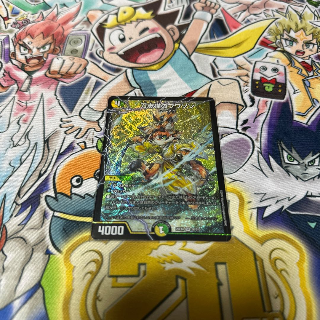 刀志猫のプワソン SR S8/S15 1枚