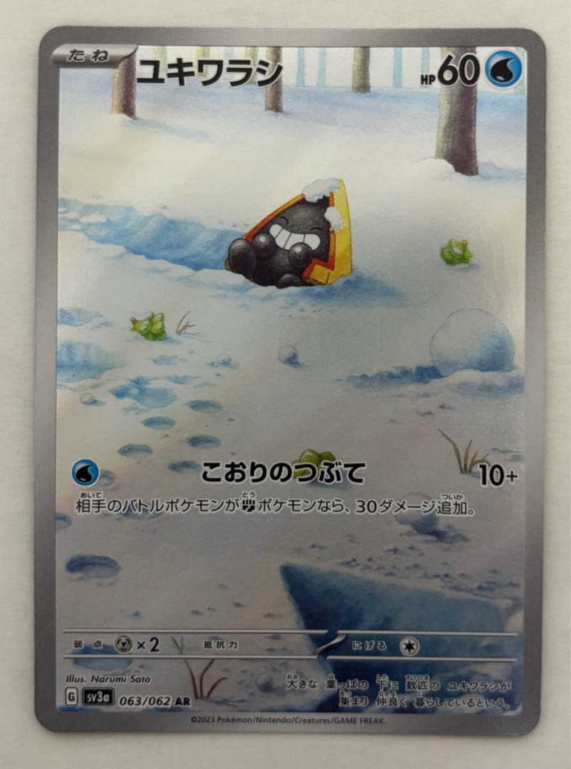 ユキワラシ　AR